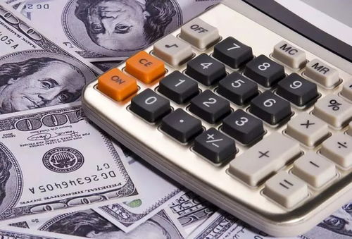 IT行業(yè)熱潮中的財(cái)務(wù)核算 機(jī)遇、挑戰(zhàn)與市場調(diào)研分析