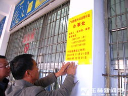玉林市多措并舉破局香蕉銷售難，全力守護蕉農“錢袋子”